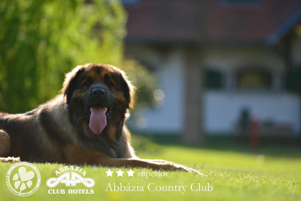 Abbazia Country Club Hotel Nemesnép Екстериор снимка
